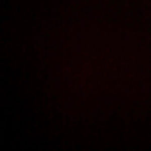 Meet your Posher, Payton